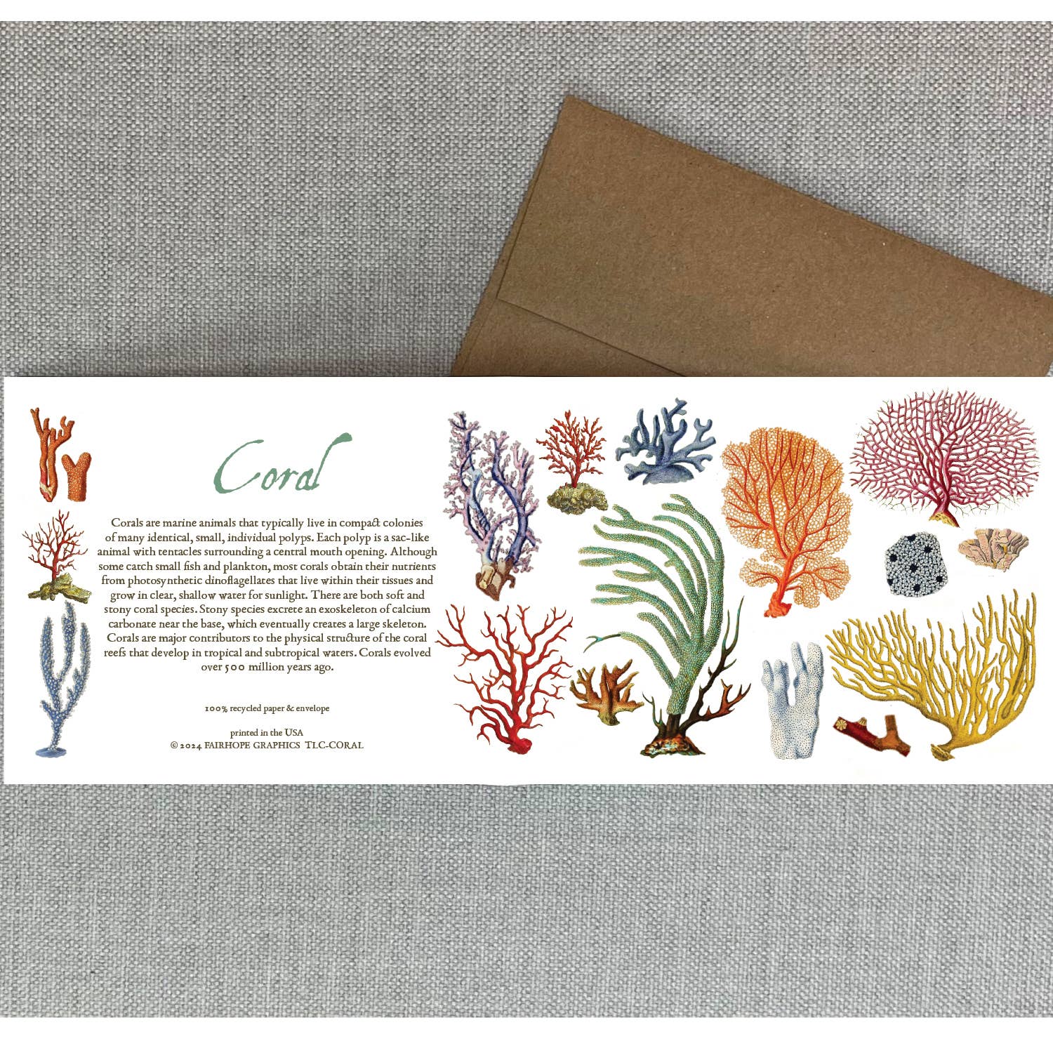 Coral Card