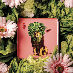 Léo's catchall