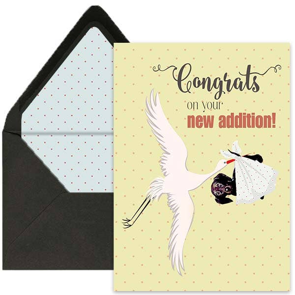 Congratulations New Puppy Funny Welcome Card