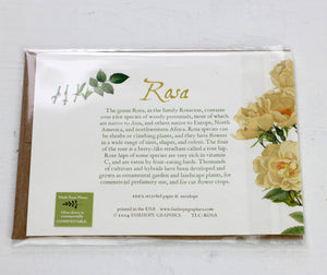 Rosa Card