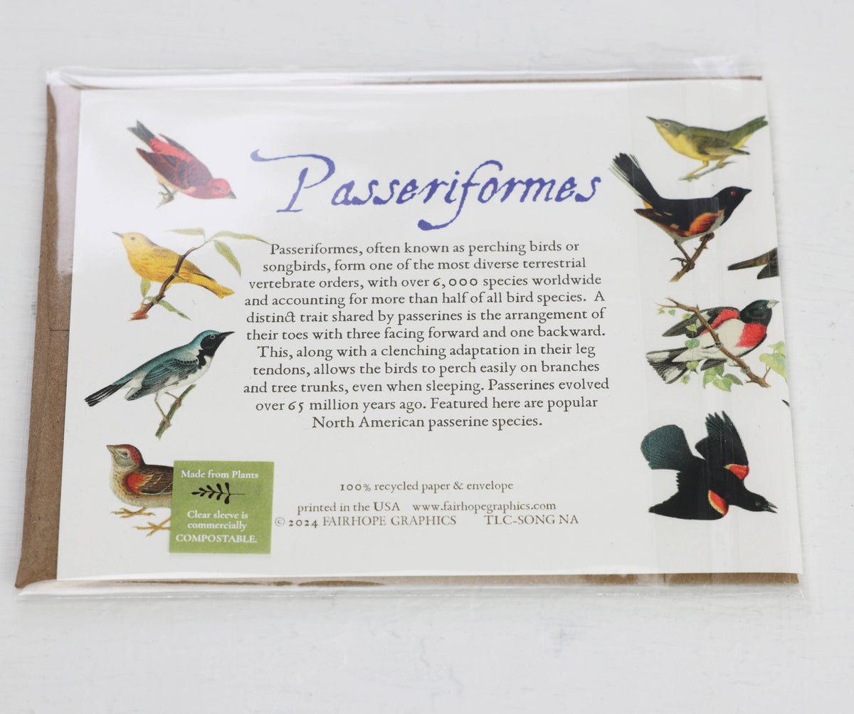 North American Songbirds Card