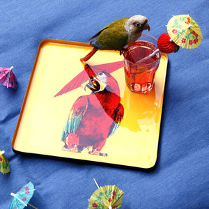 Square Arapluie Tray