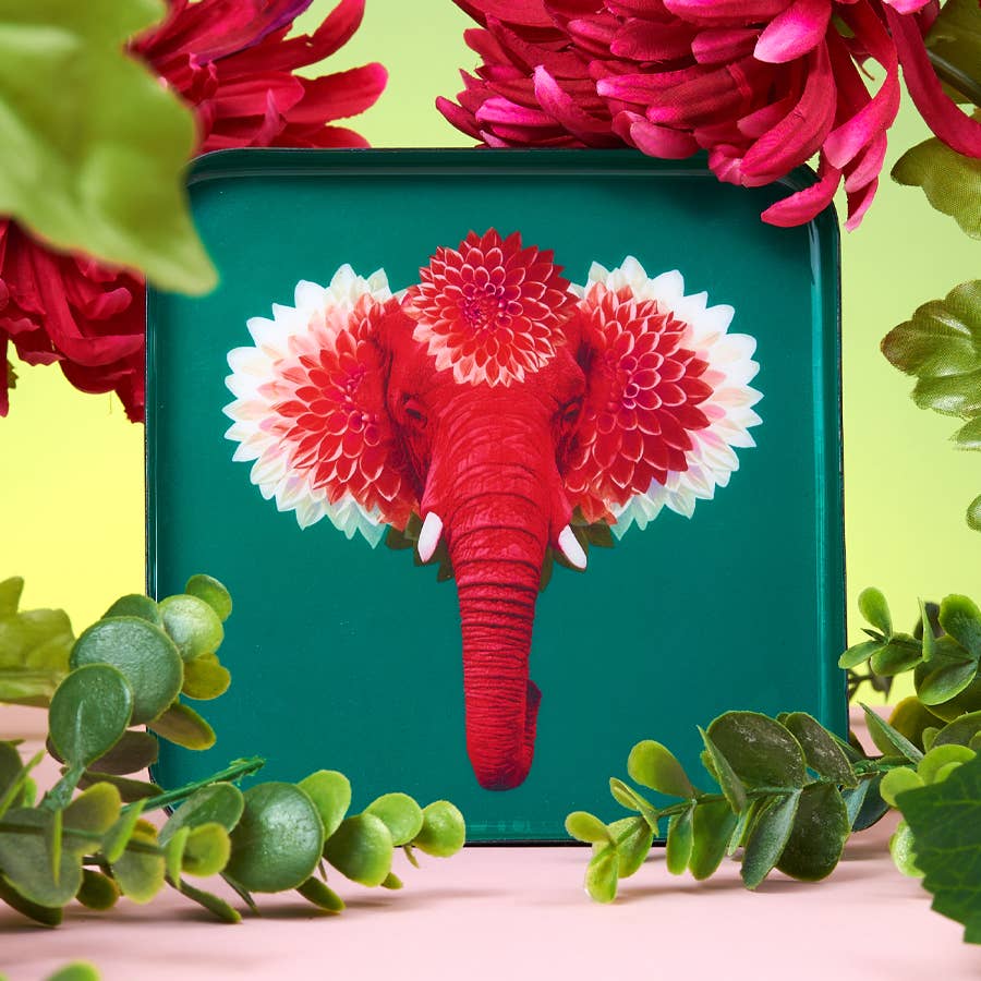 Pachiiii Pink Elephant Tray