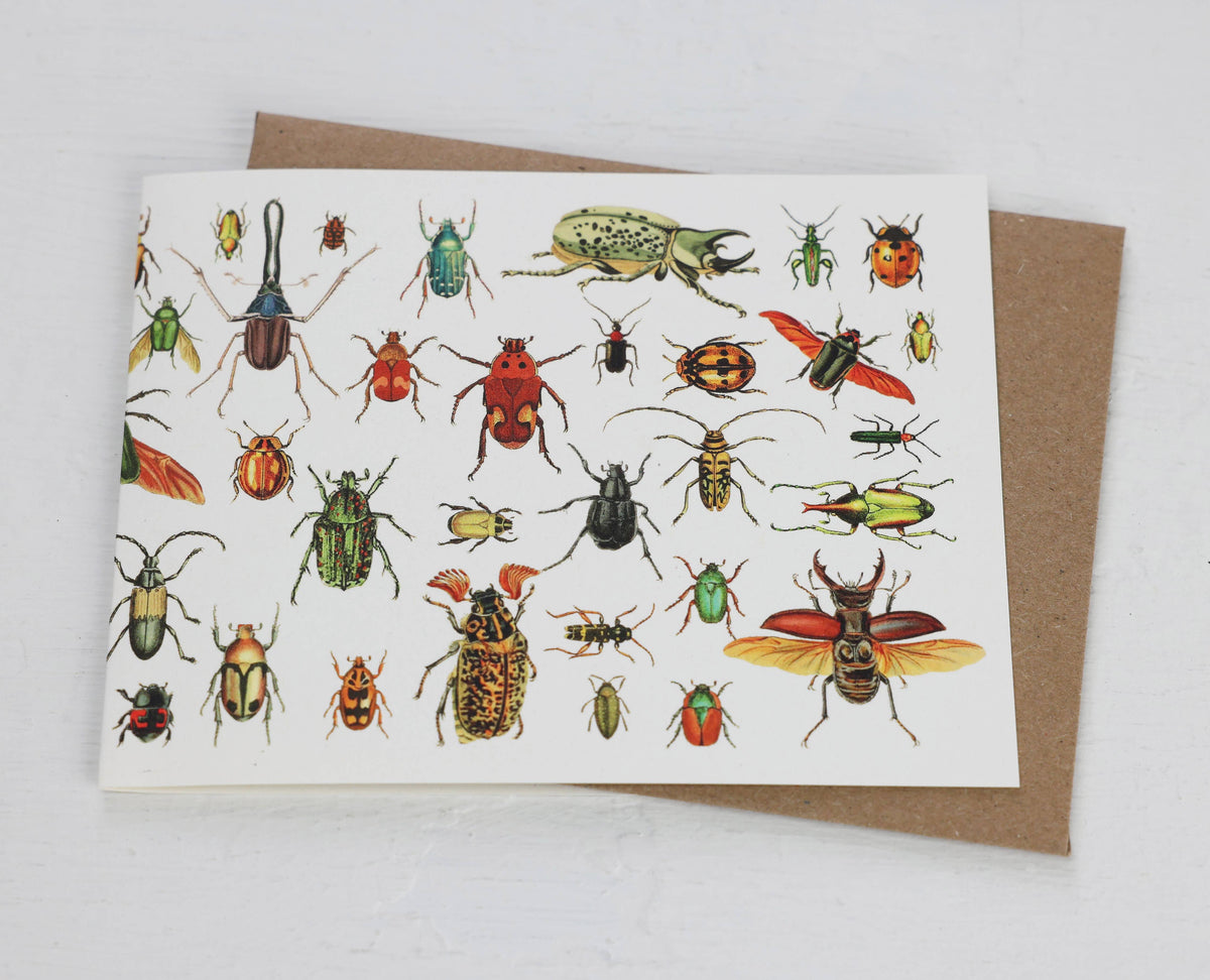 Beetles Card