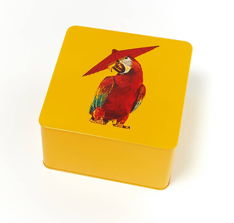 Square Parrot Box - Arapluie
