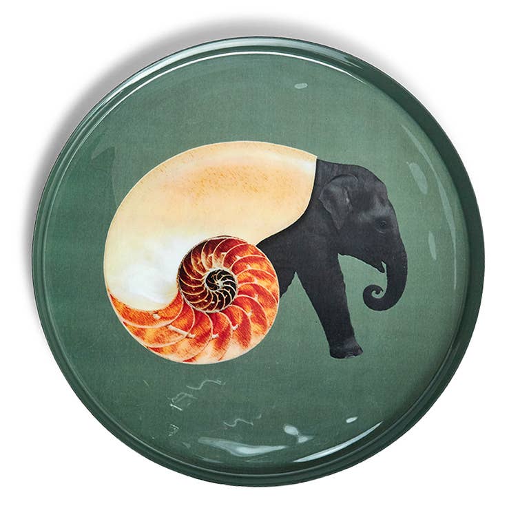Shellephant round tray