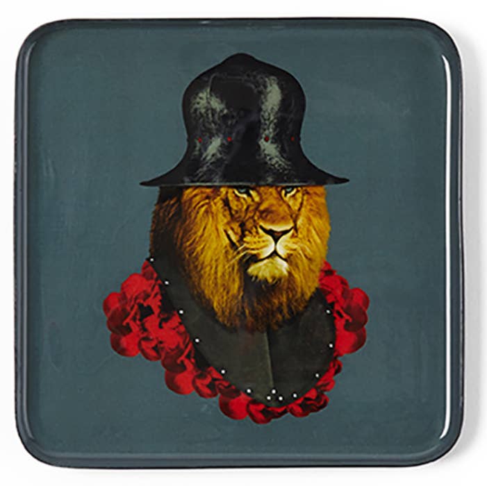 Lion Quichotte catchall