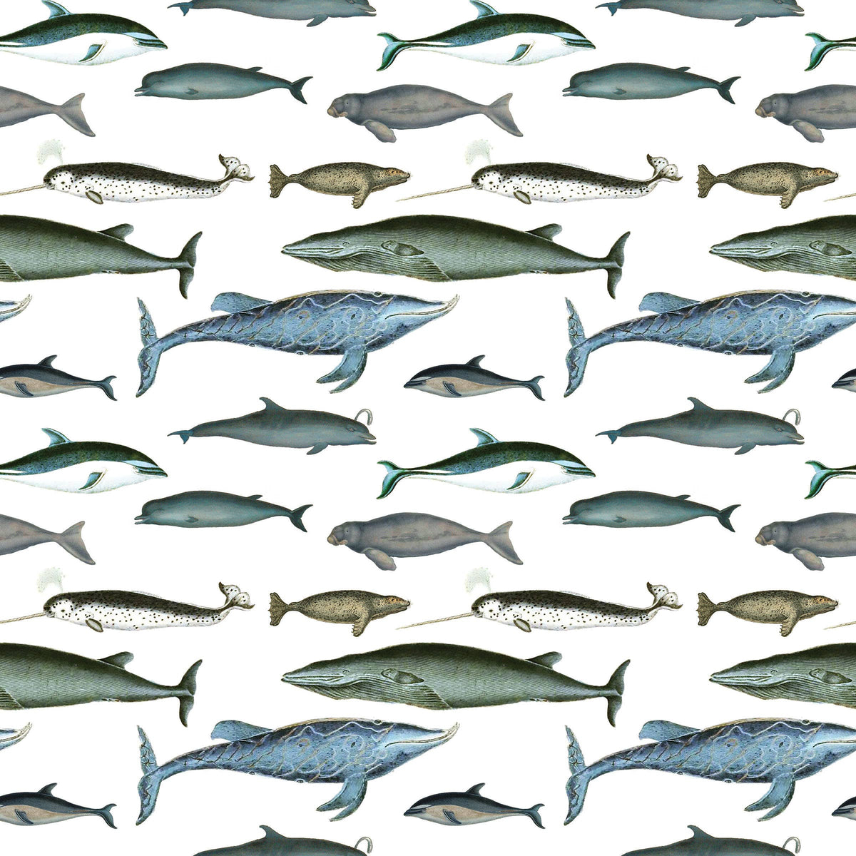 Sea Mammals Gift Wrap Single Sheet
