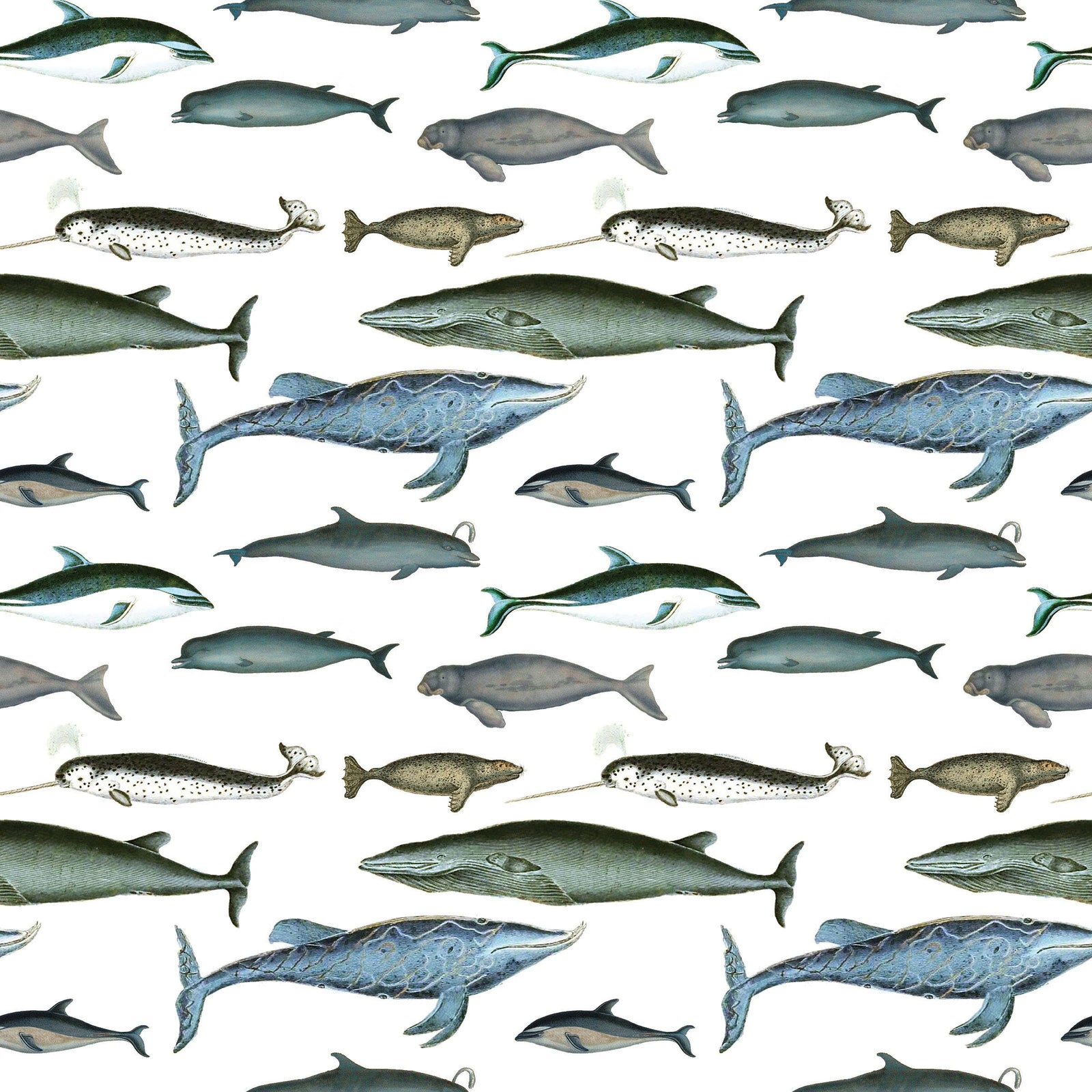 Sea Mammals Gift Wrap Single Sheet