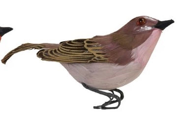 Bird Ornament