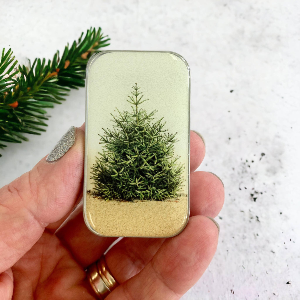 Pine Tree notions tin