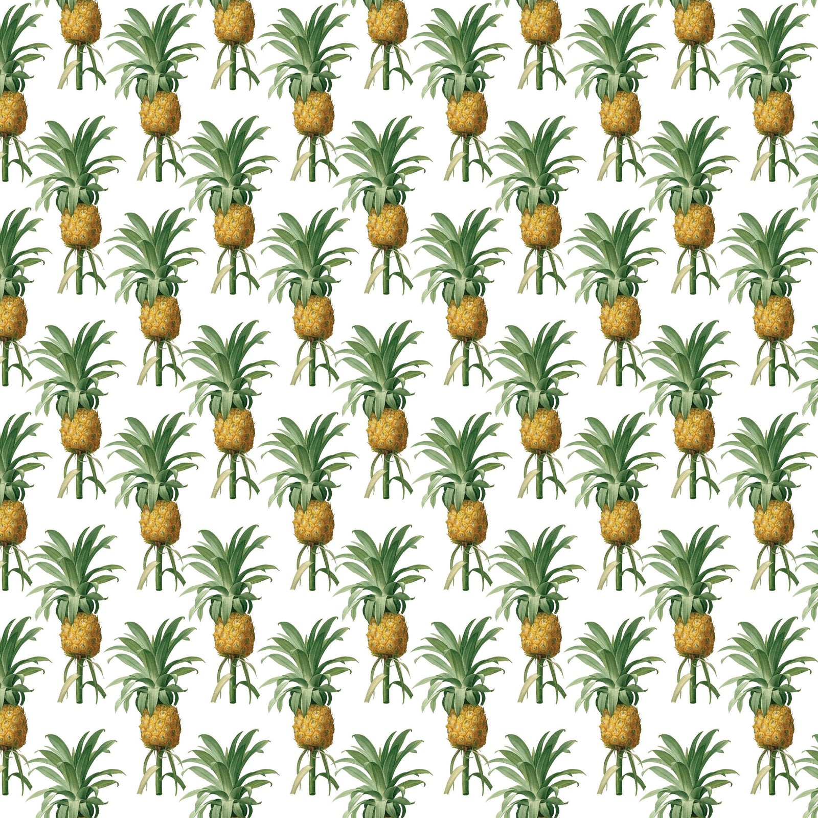 Pineapples Gift Wrap Single Sheet