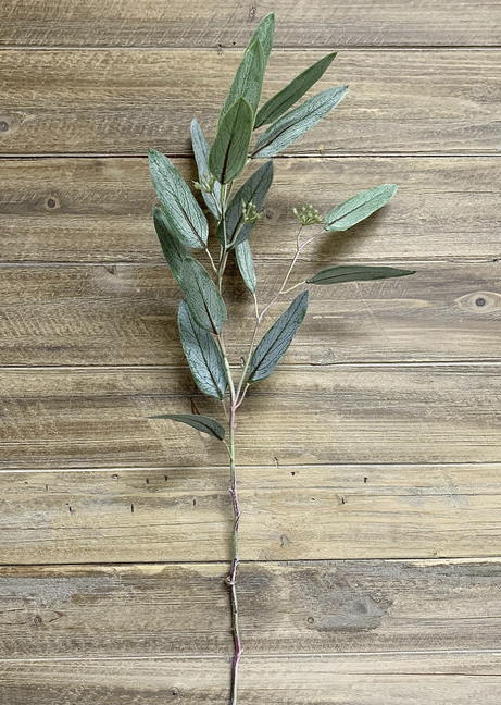 29" FRESH TOUCH WILLOW EUCALYPTUS SPRAY