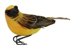 Bird Ornament