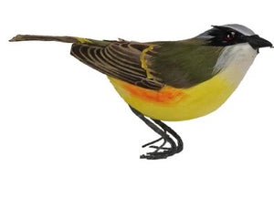 Bird Ornament