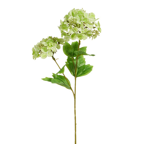 Green Hydrangea Spray