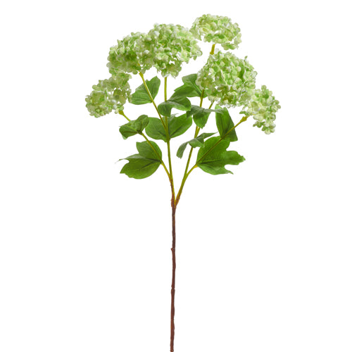 Green Hydrangea Spray 24"
