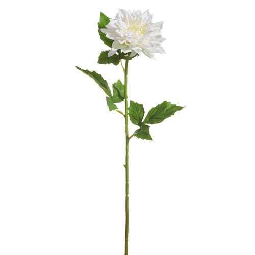 23" White Dahlia Stem