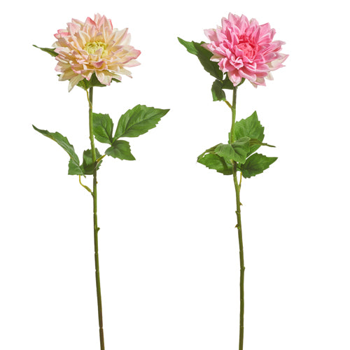 23" Pink Dahlia Stem