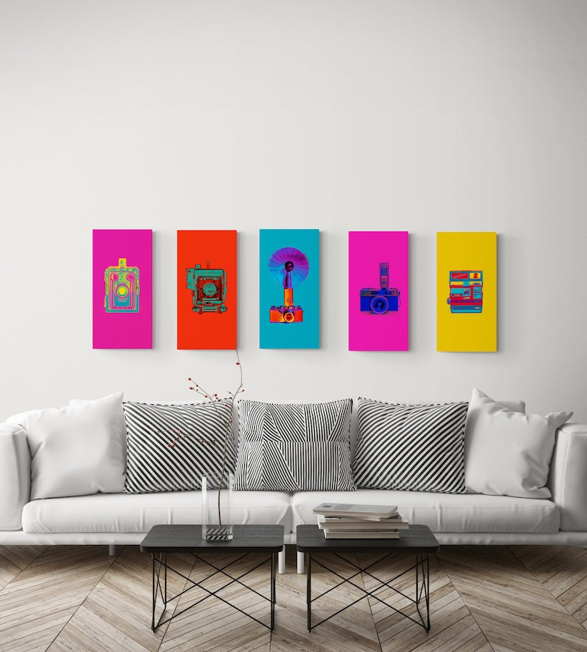 Polaroid Monkey Cam Art