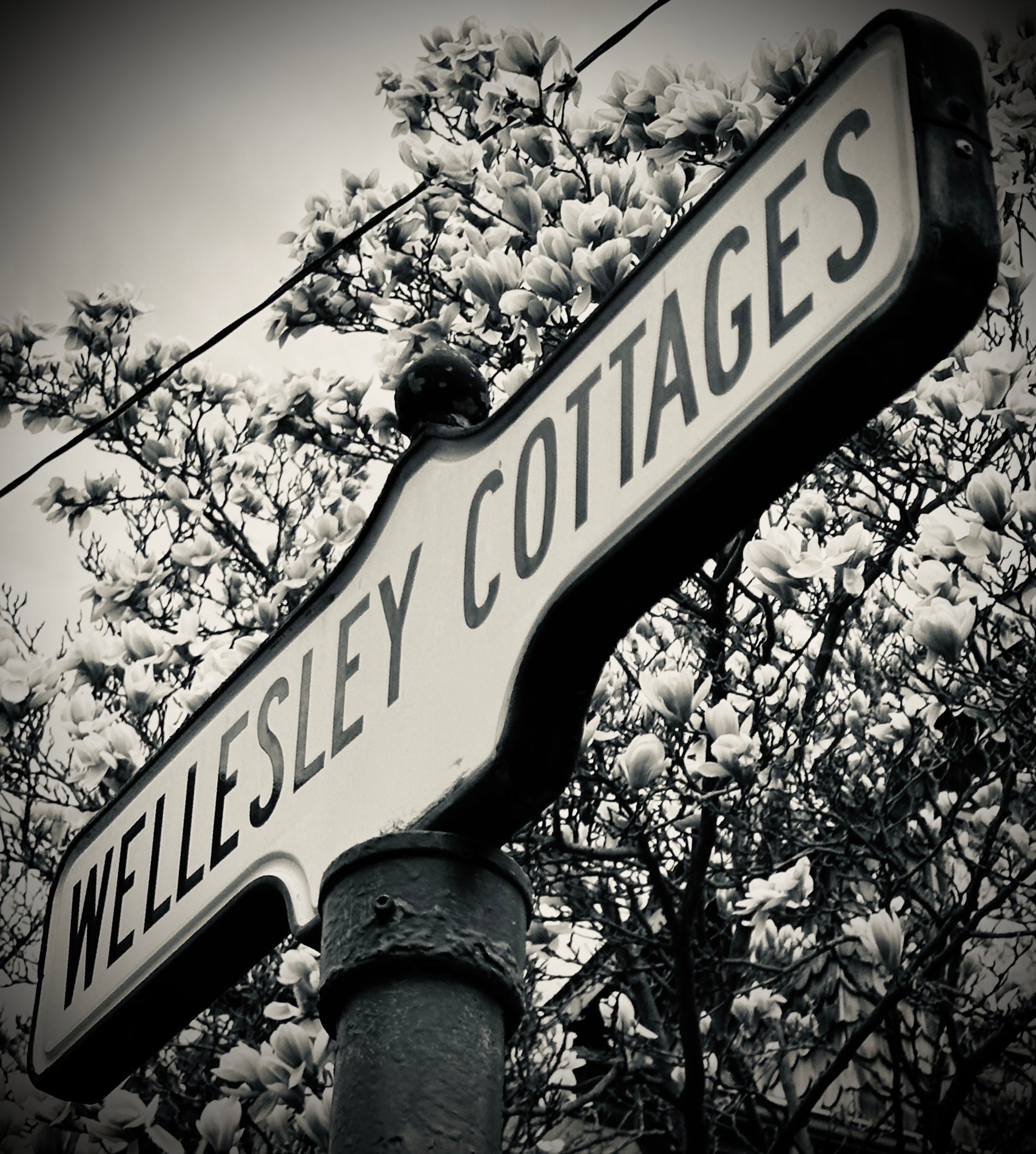 Wellesley Cottages- Ceramic Coaster