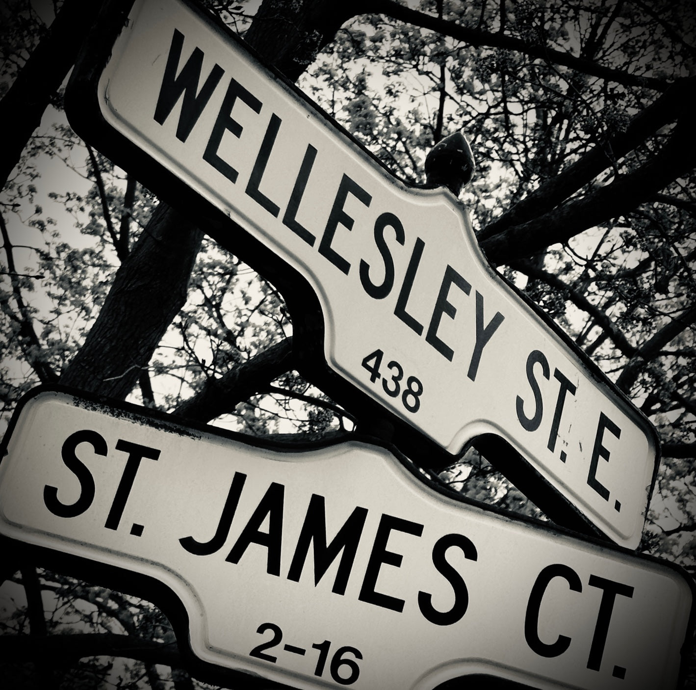 Wellesley & St James- Ceramic Coaster