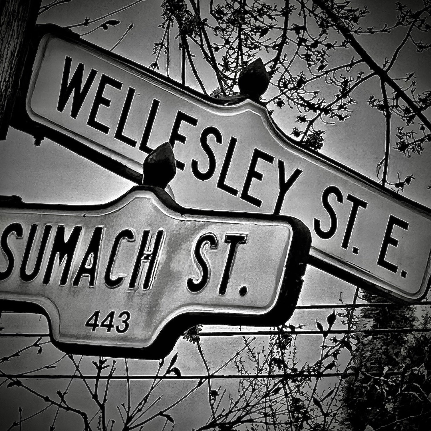 Wellesley & Sumach- Ceramic Coaster