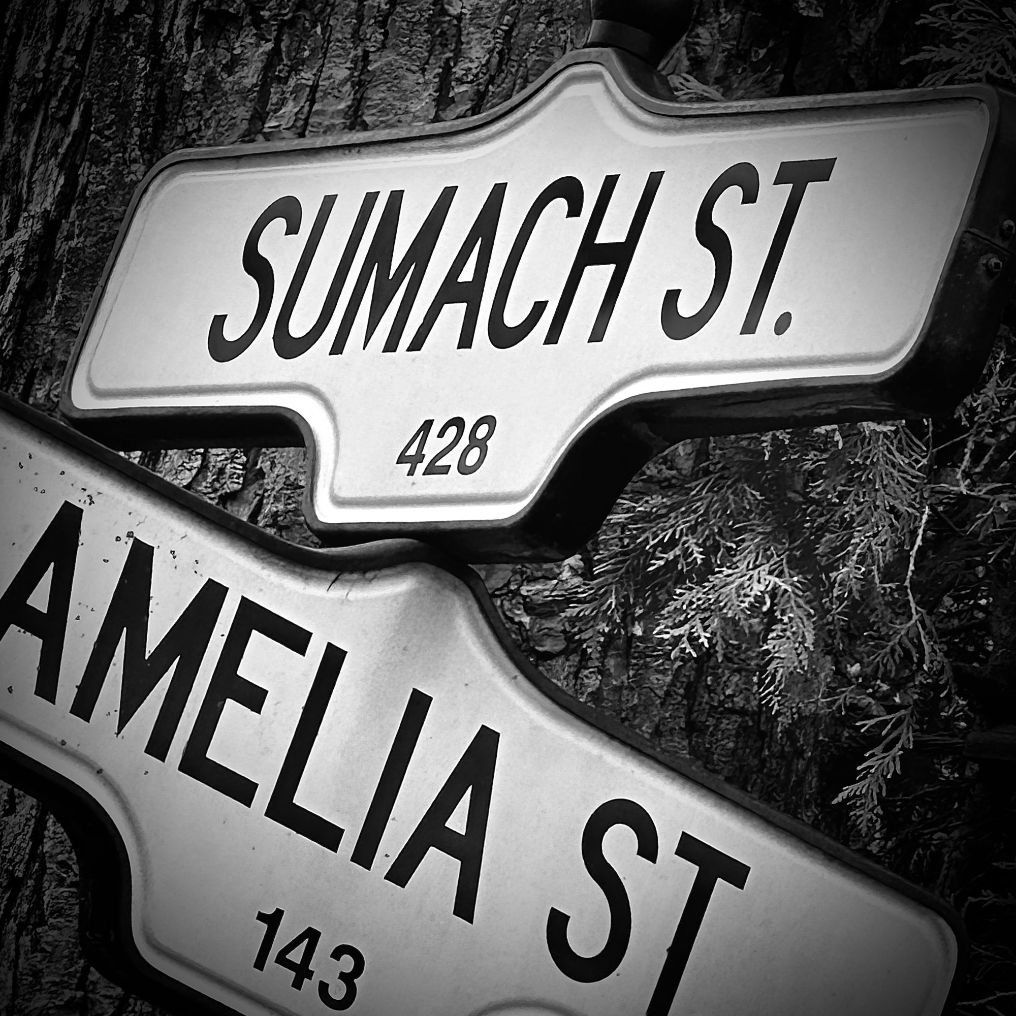 Amelia & Sumach- Ceramic Coaster