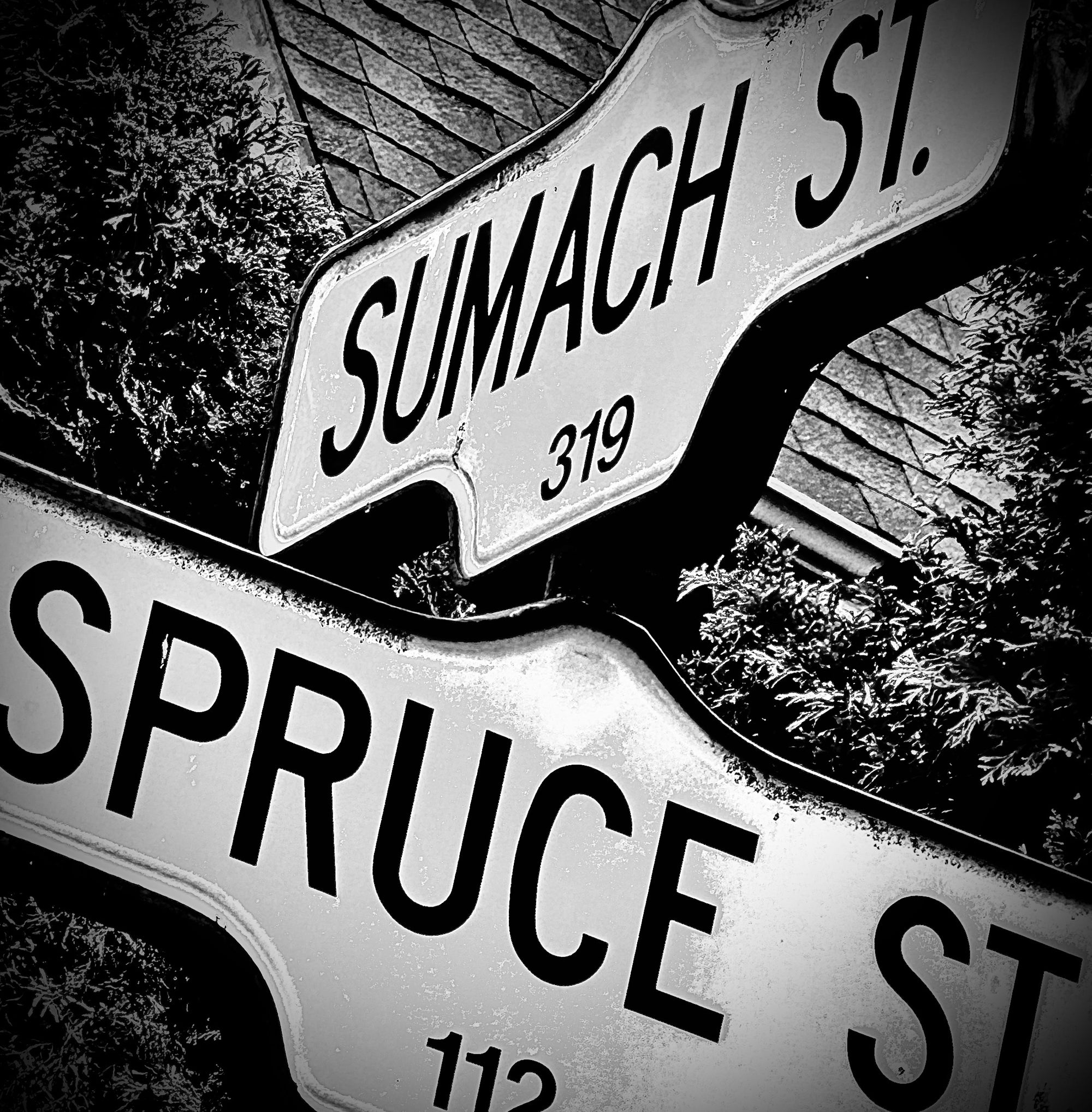 Sumach & Spruce- Ceramic Coaster