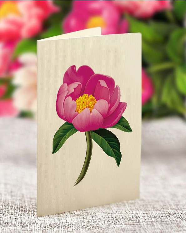 Grande Peony Pop-Up Bouquet