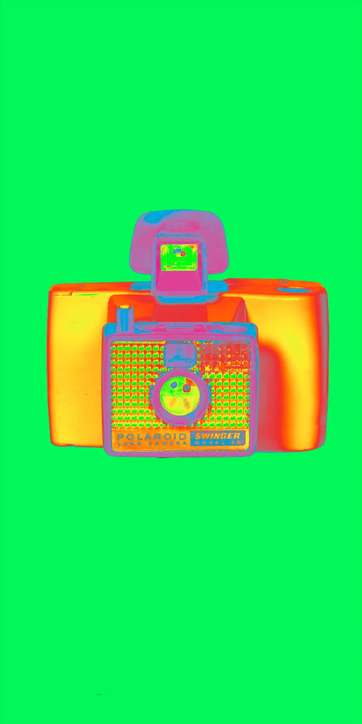 Polaroid Swinger Camera Art