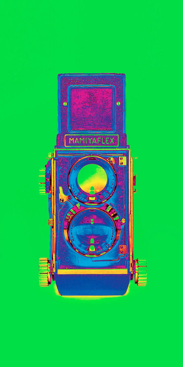 Mamiyaflex Camera Art