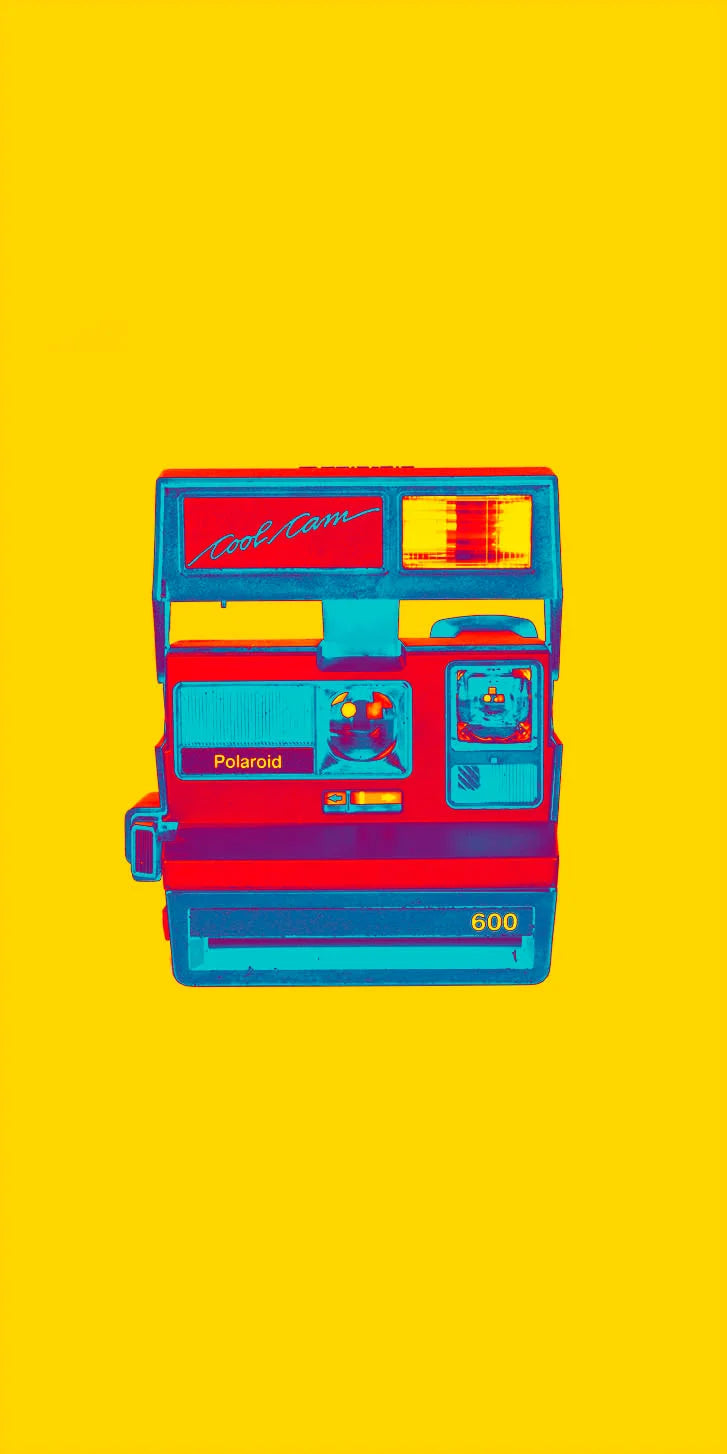 Polaroid Monkey Cam Art