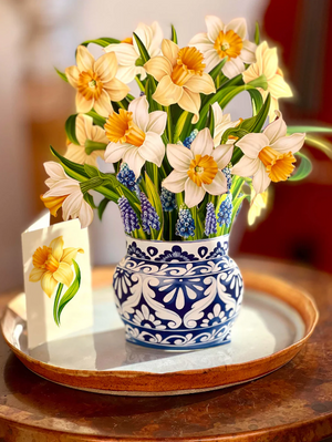 Mini-English Daffodils Pop-Up Bouquet