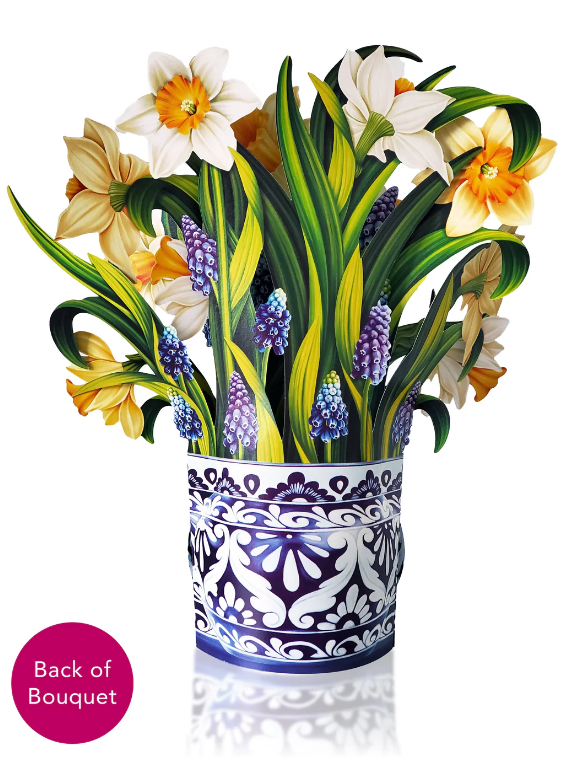 English Daffodils Pop-Up Bouquet