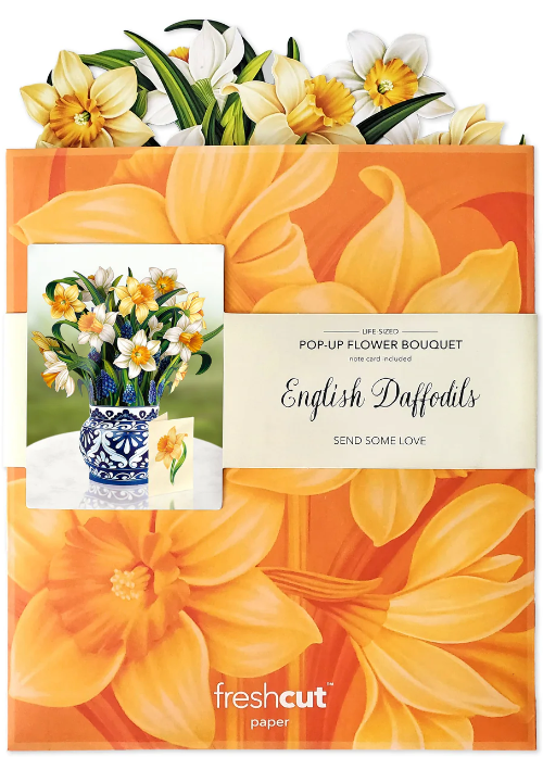 English Daffodils Pop-Up Bouquet