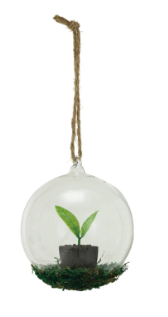 Glass Ball Ornament w/ Garden Starts Sprout & Moss 4