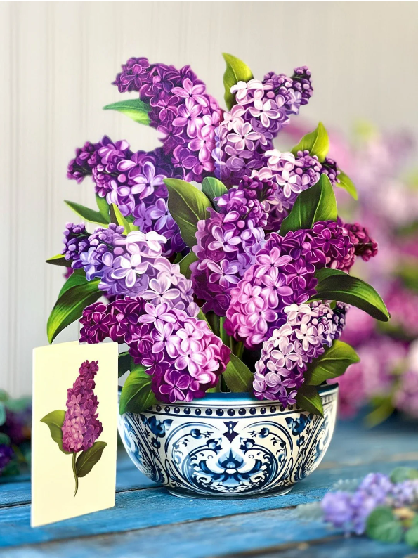 Lilac Pop-Up Bouquet