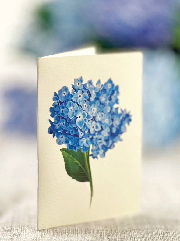 Hydrangeas Pop-Up Bouquet - kendallandco