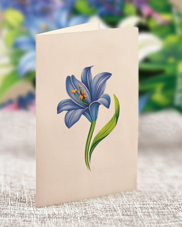 Lillies and Lupines Pop-Up Bouquet