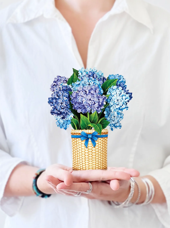 Mini Hydrangeas Pop-Up Bouquet