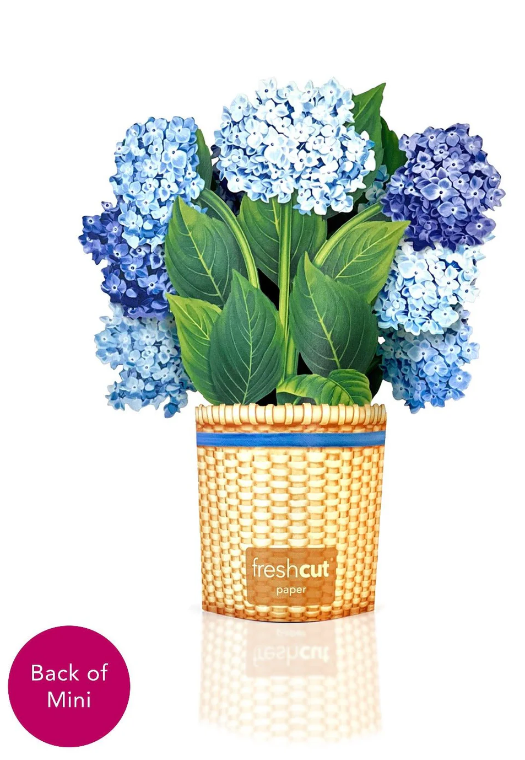 Mini Hydrangeas Pop-Up Bouquet