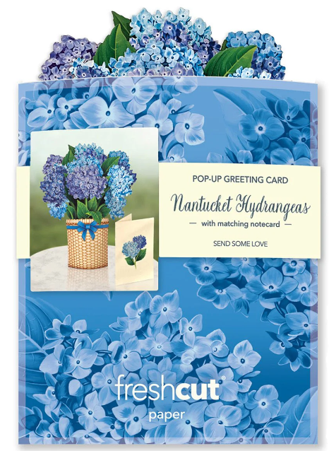 Mini Hydrangeas Pop-Up Bouquet