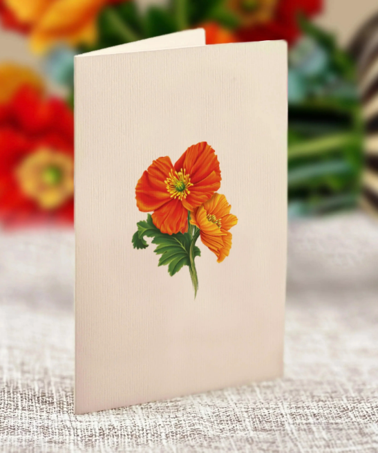 Mini French Poppy Blossom Pop-Up Bouquet