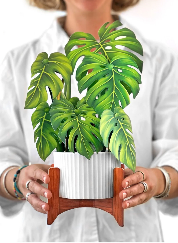 Monstera Pop-Up Bouquet