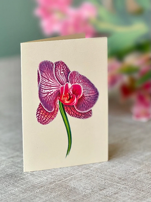 Orchid Oasis Pop-Up Bouquet