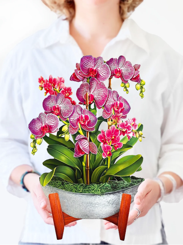 Orchid Oasis Pop-Up Bouquet