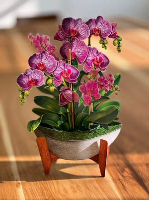 Orchid Oasis Pop-Up Bouquet