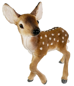 White tailed deer.