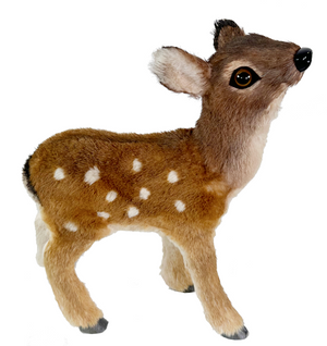 White tailed deer.